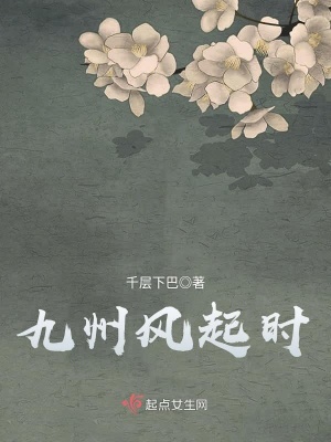 九州风起时评价