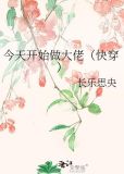 今天开始做大佬(快穿)