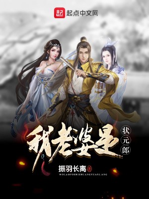 我的老婆是状师结局
