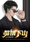 赘婿下山完结版