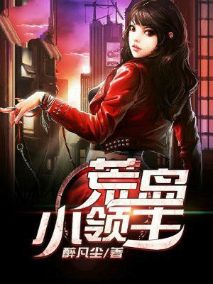 荒岛领主类小说