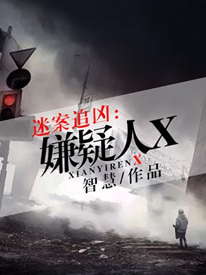 迷案追凶：嫌疑人X