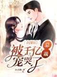 名门闪婚总裁的千亿宠妻