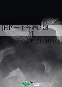 Hp一个普通的跟班