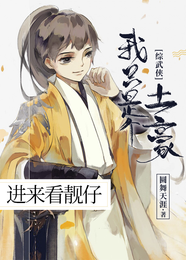 我只是个土豪[综武侠] 小说