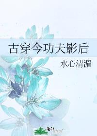 功夫影后古穿今全文免费阅读