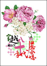 穿越八十年代农家媳作者:臧白