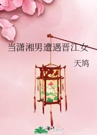 潇湘男遭遇晋江女,抄袭哪本书