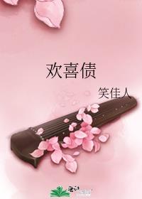 欢喜债同类型的小说