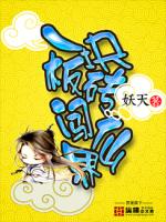 一块板砖闯仙界百科
