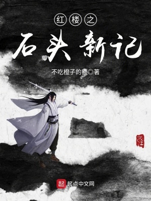 红楼之石头新记 小说