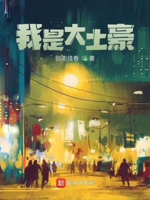 我是大土豪 小说