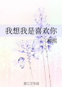 我想我是喜欢你了