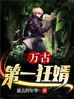 万古第一狂婿 小说