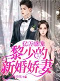 亿万盛宠:黎少的新婚娇妻