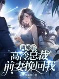 离婚后,高冷总裁前妻挽回我