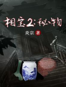 相宝2秘物TXT笔趣阁免费下载