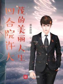 四合院许大茂的美丽人生免费阅读