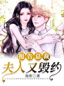 报告总裁,夫人她要跑 小说