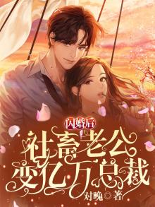 闪婚老公,腹黑宠 小说