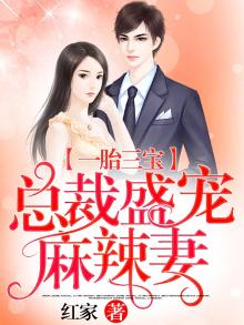 一胎三宝,总裁盛宠麻辣妻全文阅读