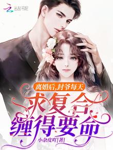 封总我们离婚吧是什么小说