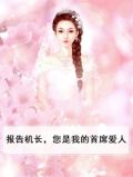 报告机长，您是我的首席爱人