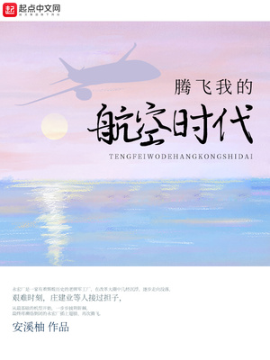 腾飞我的航空时代TXT下载