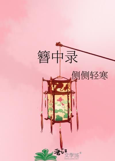 簪中录