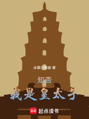 知否:我是皇太子小说