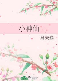 小神仙小说