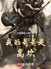 我的哥哥是高欢作文