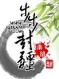 步步封疆叶之然正版小说
