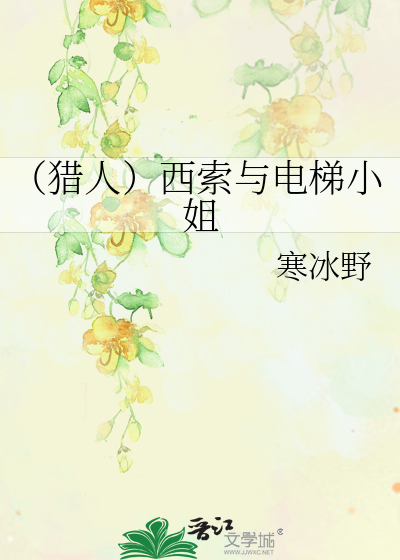 （猎人）西索与电梯小姐