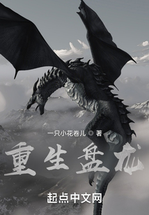 重生盘龙之光明王