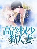 高冷权少黏人妻
