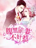 腹黑前妻不好惹