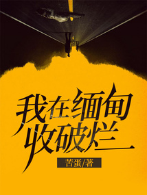 我在缅甸收破烂