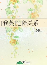 危险关系小说免费阅读