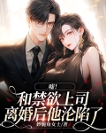 嘘!和禁欲上司离婚后他沦陷了