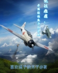 抗战雄鹰，开局就抢鬼子战斗机
