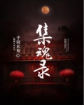 集魂录