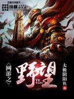 网游之野望百科