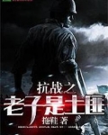 抗战之老子是土匪