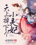 天上掉下个小灵妃