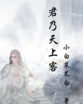 君乃天上客