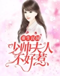 重生民国:少帅夫人不好惹
