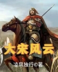 大宋风云