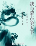 人在南宋，我与蒙古争天下