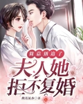 简总别追了，夫人她拒不复婚